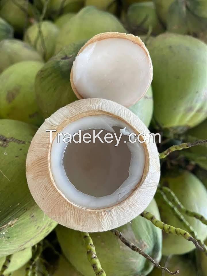 PURE COCONUT WATER 100% NATURAL FROM VIETNAM
