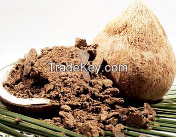 WHOLESALE COCONUT SHELL POWDER BULK EXPORT