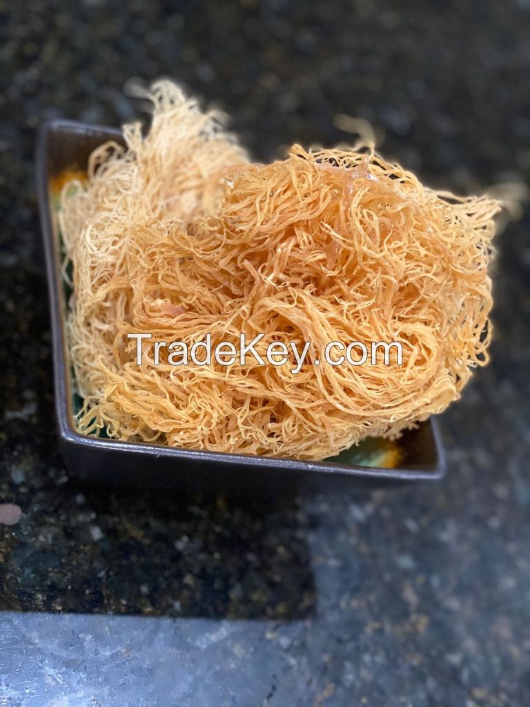 WHOLESALE SEA MOSS BULK EXPORT BEST PRICE