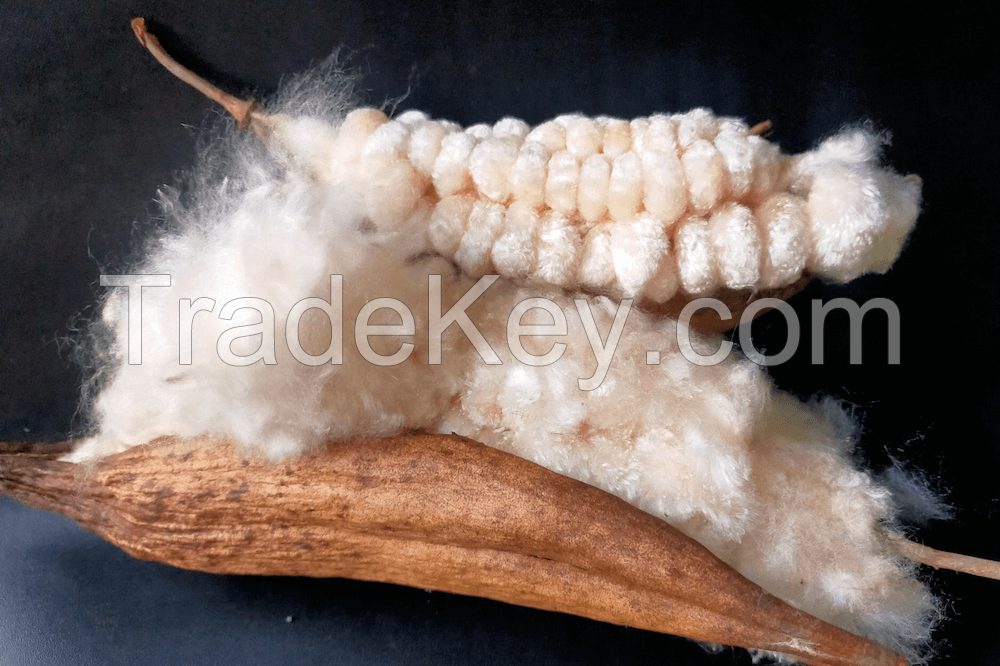 ORGANIC KAPOK FIBER ECO FRIENDLY CUSHION MATERIAL