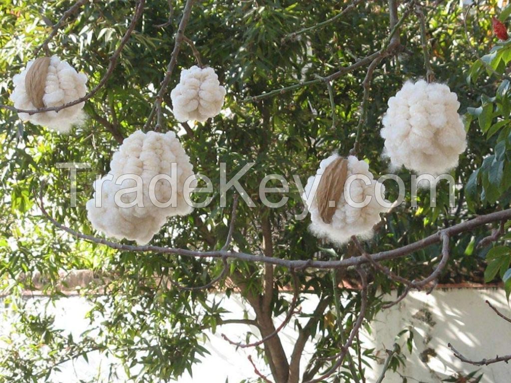 ORGANIC KAPOK FIBER ECO FRIENDLY CUSHION MATERIAL