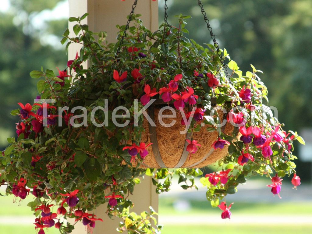 NATURAL COCONUT FIBER POTS WHOLESALE FROM VIETNAM