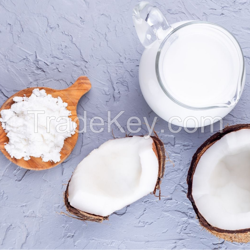 ORGANIC COCONUT MILK POWDER FOR FOOD INDUSTRY