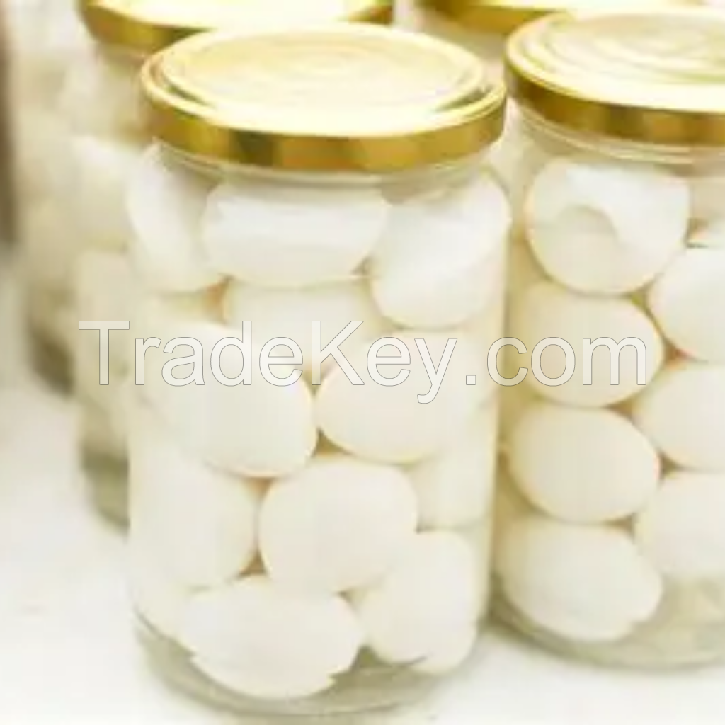 WHOLESALE CANNED QUAIL EGGS READY TO EAT BULK EXPORT