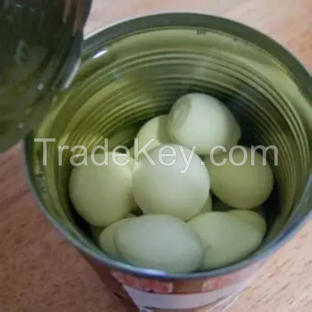 CANNED QUAIL EGGS IN BRINE FROM VIETNAM