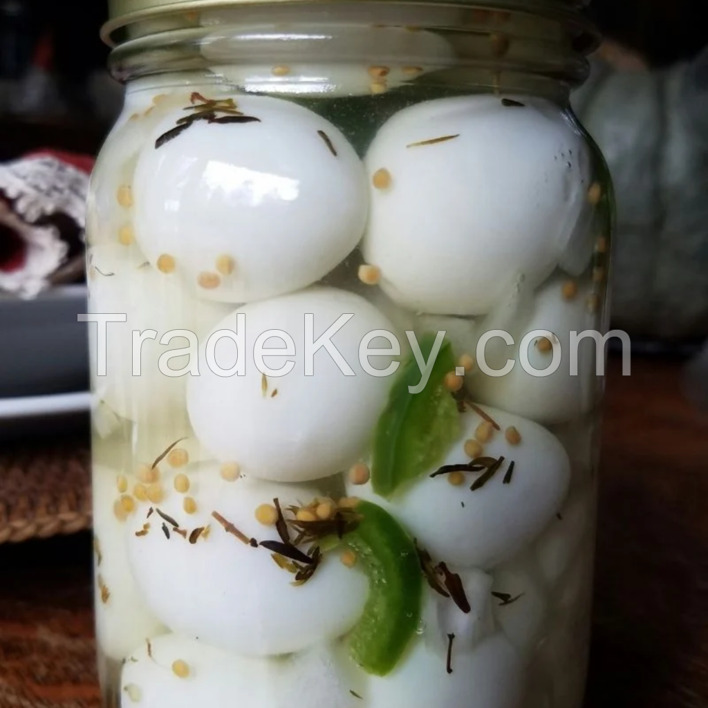 WHOLESALE CANNED QUAIL EGGS READY TO EAT BULK EXPORT