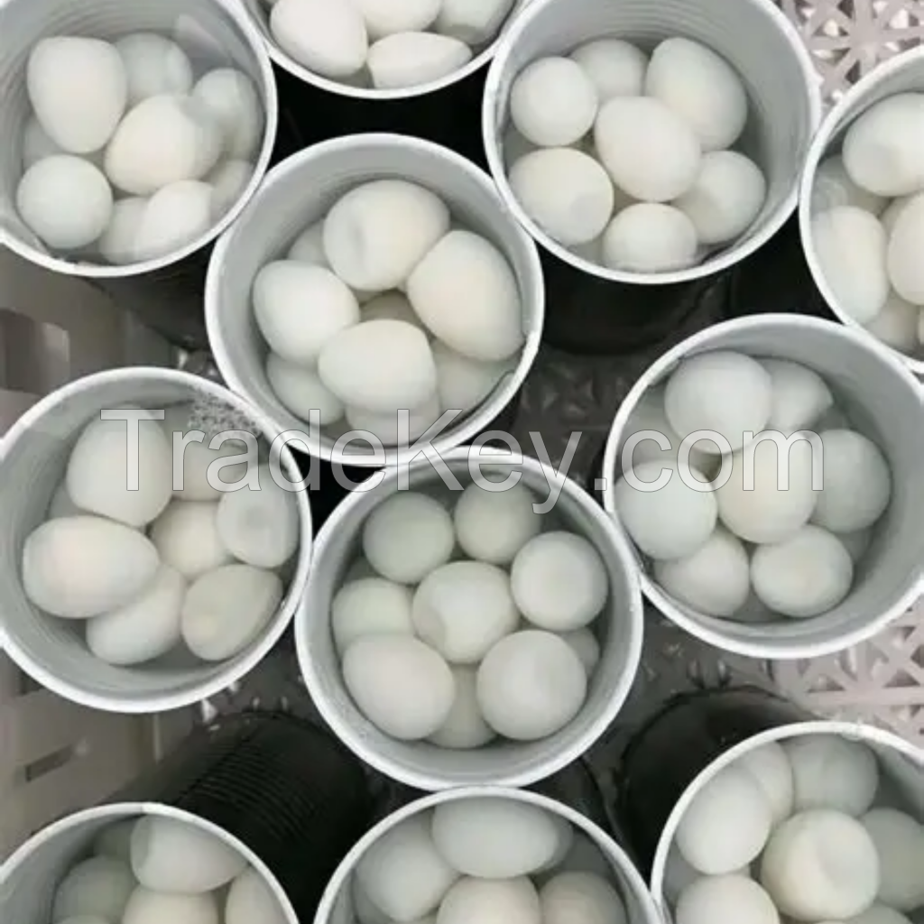 WHOLESALE CANNED QUAIL EGGS READY TO EAT BULK EXPORT