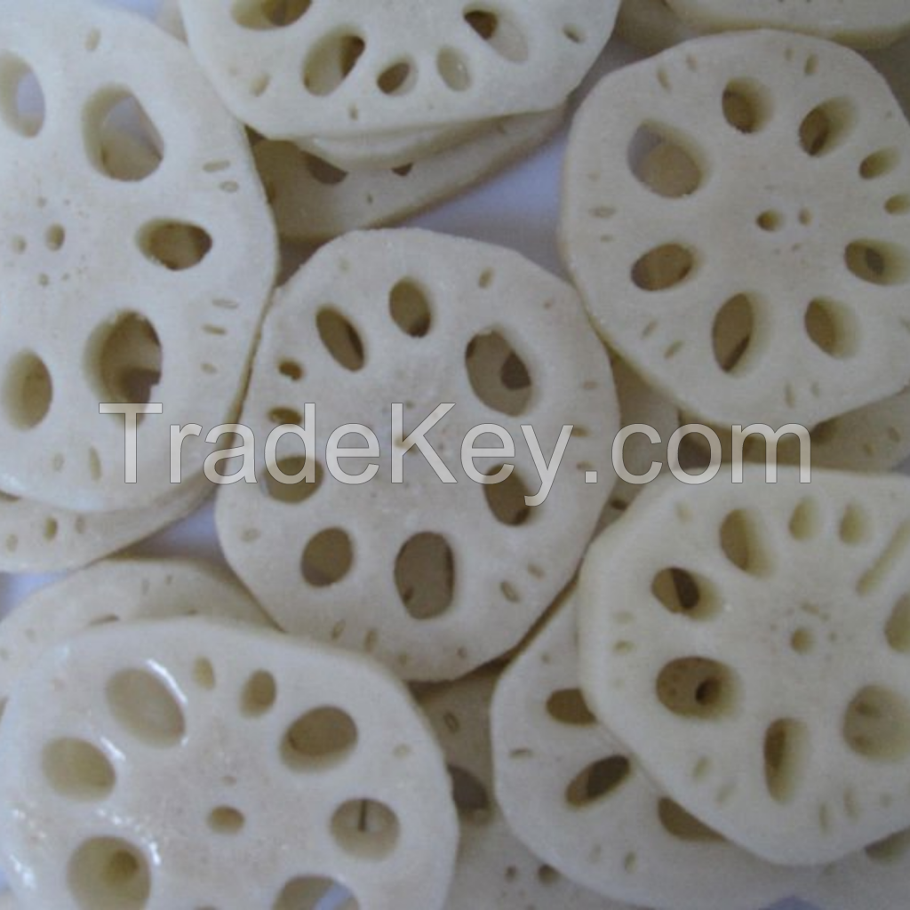 FROZEN LOTUS ROOTS FOR FRESH CRUNCHY NOURISHING COOKING RECIPES