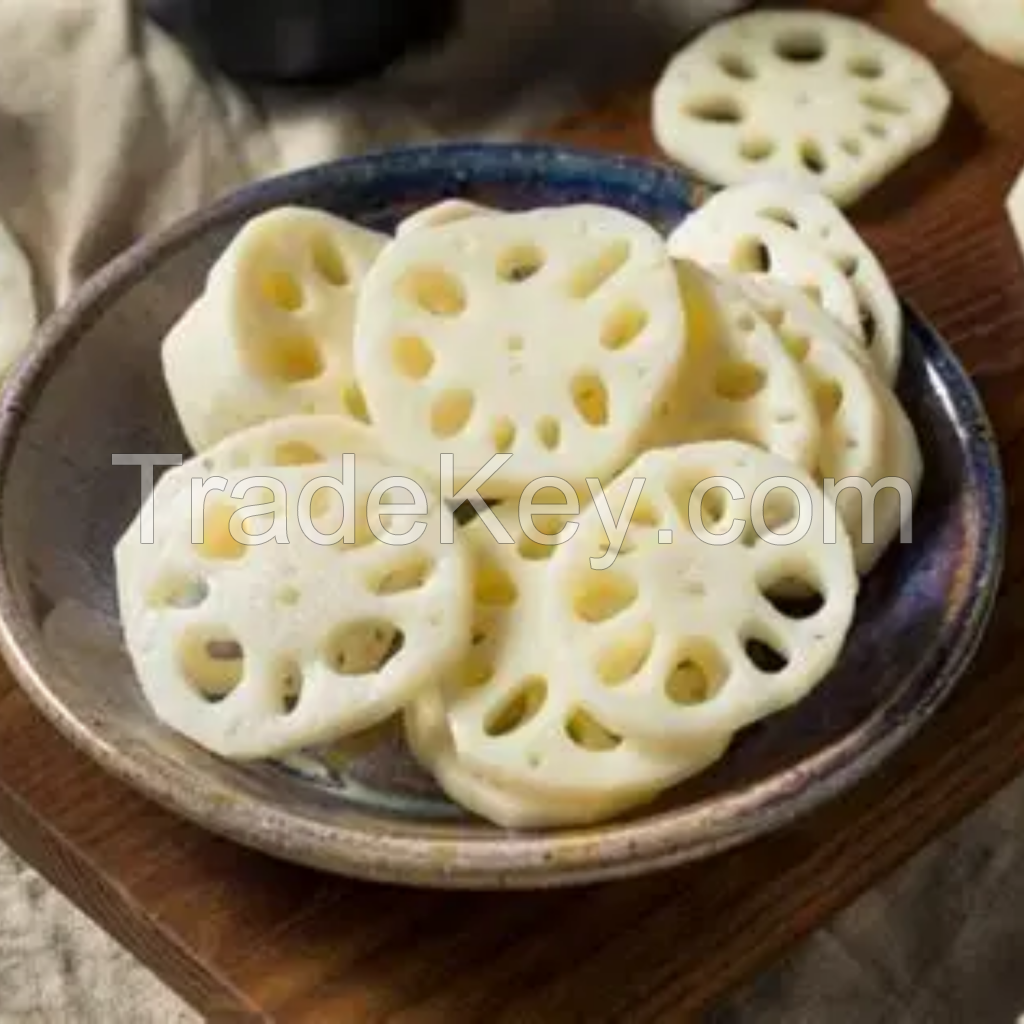 FROZEN LOTUS ROOTS FOR FRESH CRUNCHY NOURISHING COOKING RECIPES