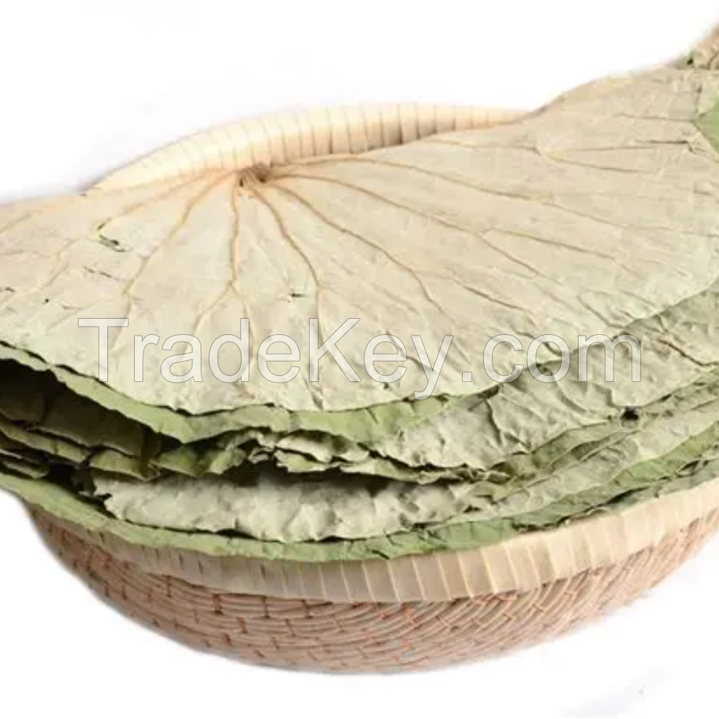 PREMIUM DRIED LOTUS LEAF FOR TEA DETOX AND WELLNESS PURPOSES