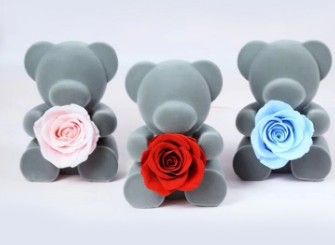 Festival gift prserved valentine's day gift flowers rose Teddy bear ro