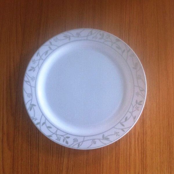 plastic dinner plates