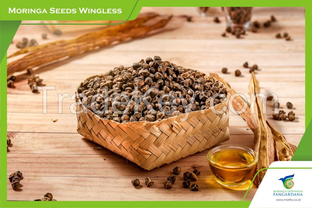 Timor Moringa Seeds