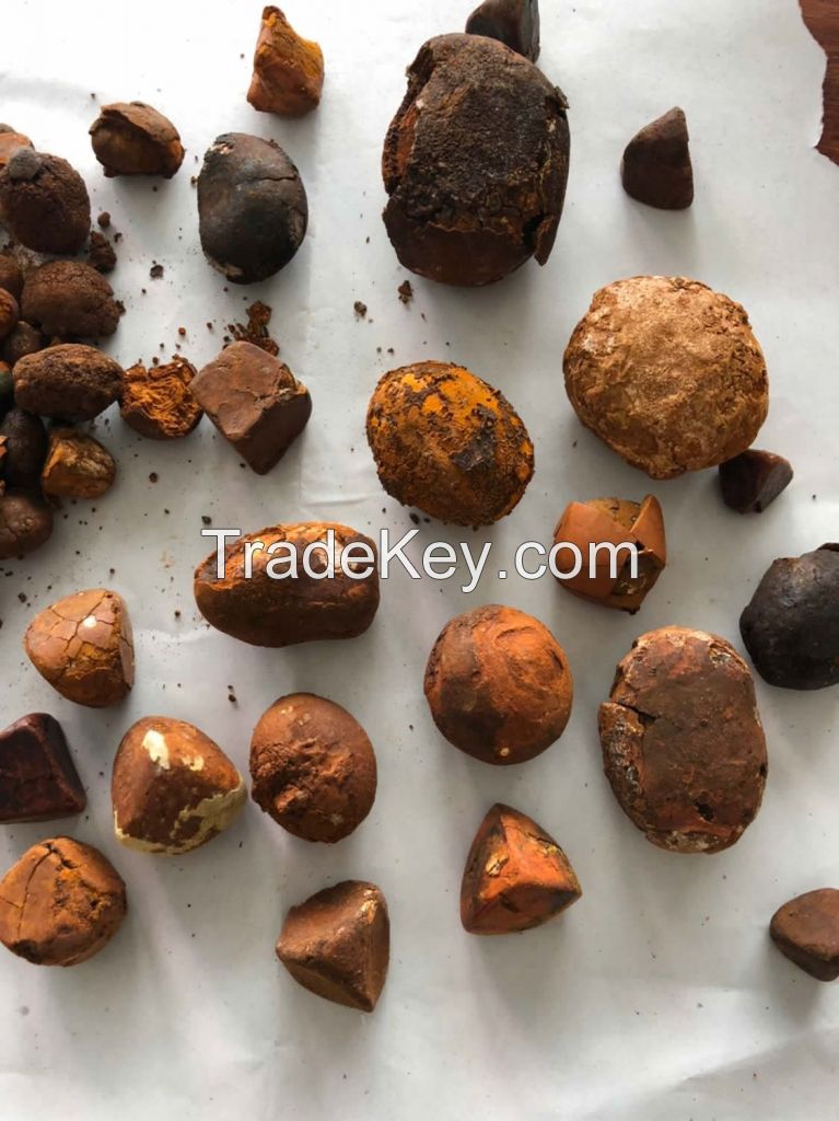 Grade AA Ox Gallstones | Cattle Gallstones | Cow Gallstones For Sale