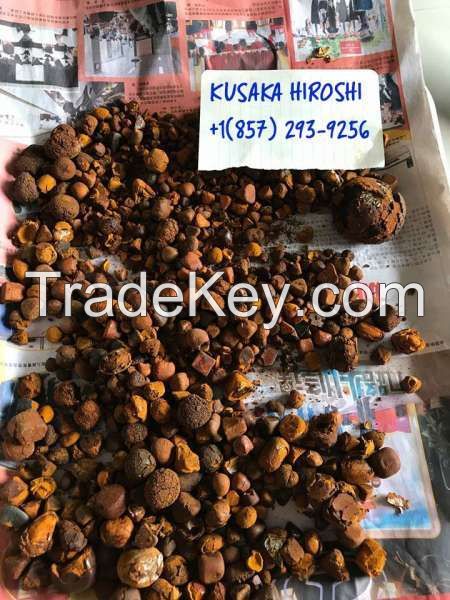 Grade AA Ox Gallstones | Cattle Gallstones | Cow Gallstones For Sale