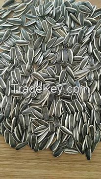 SUNFLOWER SEEDS