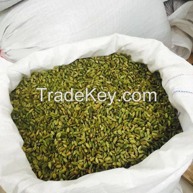 Dried Premium Quality 7-9 mm Green Cardamom