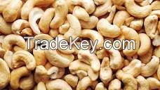 Cashew Nut