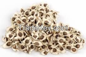 Moringa Seed