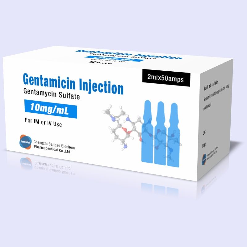 GENTAMICIN injection