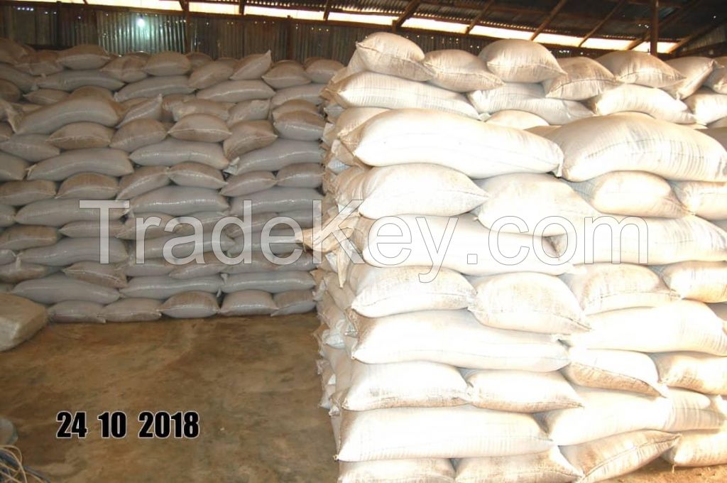 Quality Wheat Seeds Organic Wheat Seeds