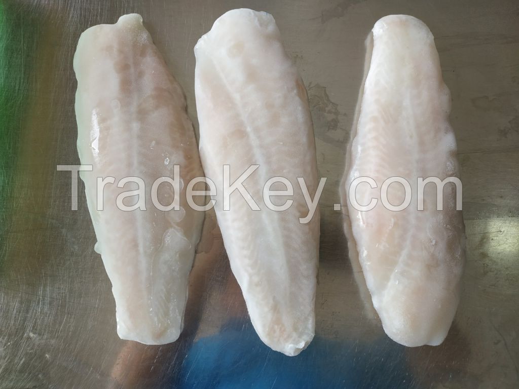 Frozen Pangasius Fillet, Well-trimmed