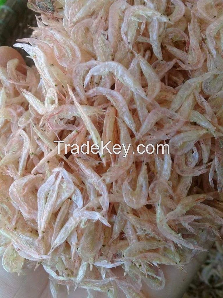 Dried Baby Shrimp