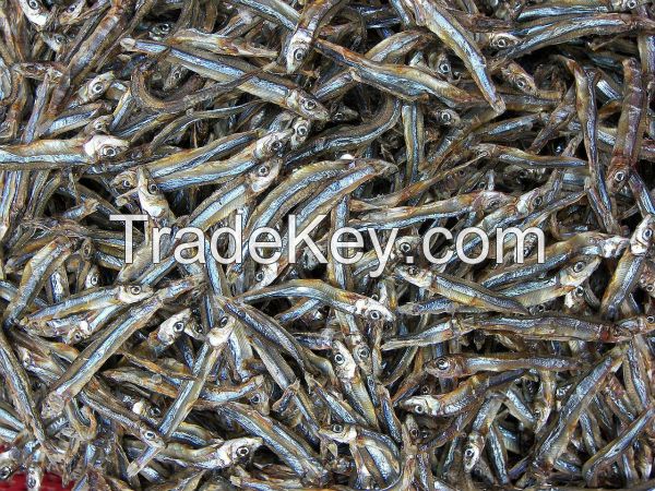 Dried black anchovy