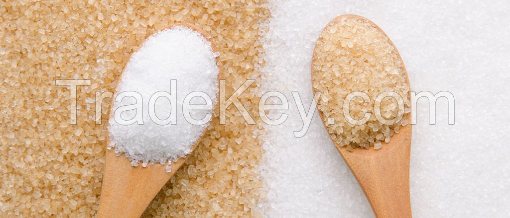 Refined White Cane Icumsa 45 Sugar with Hot Prices Offered