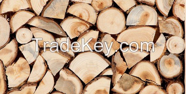 Beech firewood