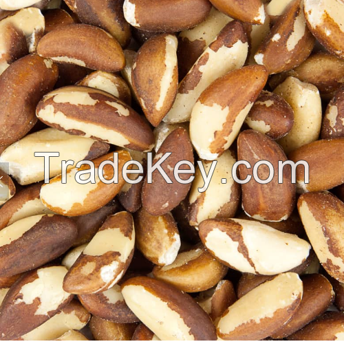 Organic Dry Nuts, Seeds And Grains