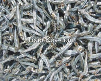 DRIED ANCHOVY