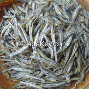 Dried Anchovy From Vietnam