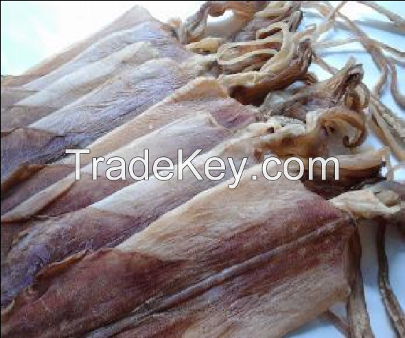 Dried Cuttlefish