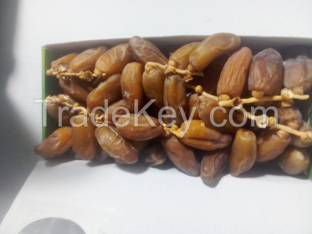 Deglet Nour Tunisia Dates 