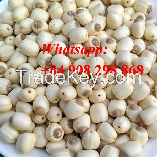 the best price lutos seeds in VIet NAm