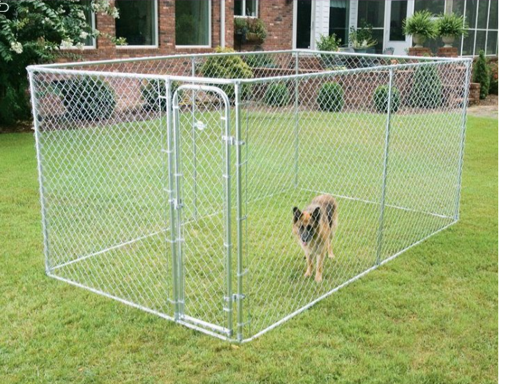 dog kennel dog cage