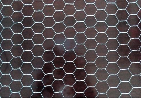 hexagonal wire mesh