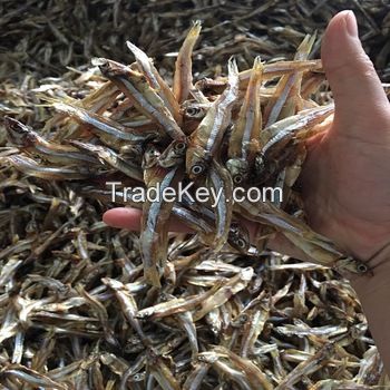 VIET NAM WHOLESALE ANCHOVIES/SUN DRIED ANCHOVIES/ BEST PRICE DRIED ANCHOVIES IN VIET NAM/VIET NAM MANUFACTUROR DRY FISH