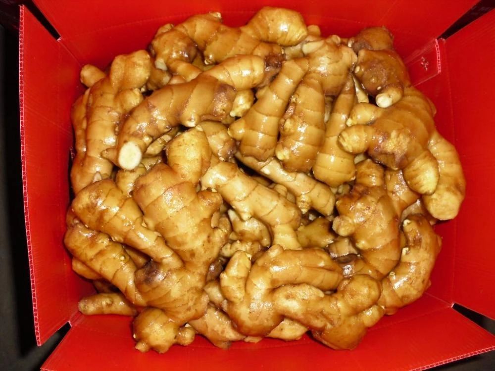 cheap price for ginger in good health