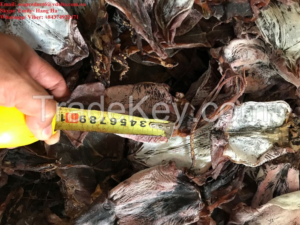 Dried Black Squid Vietnam