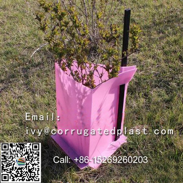 Easy fold, strong and light, Eco-friendly UV protected Corflute Tree Guards