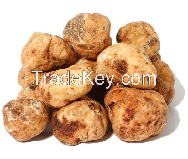 Fresh desert White Truffles 