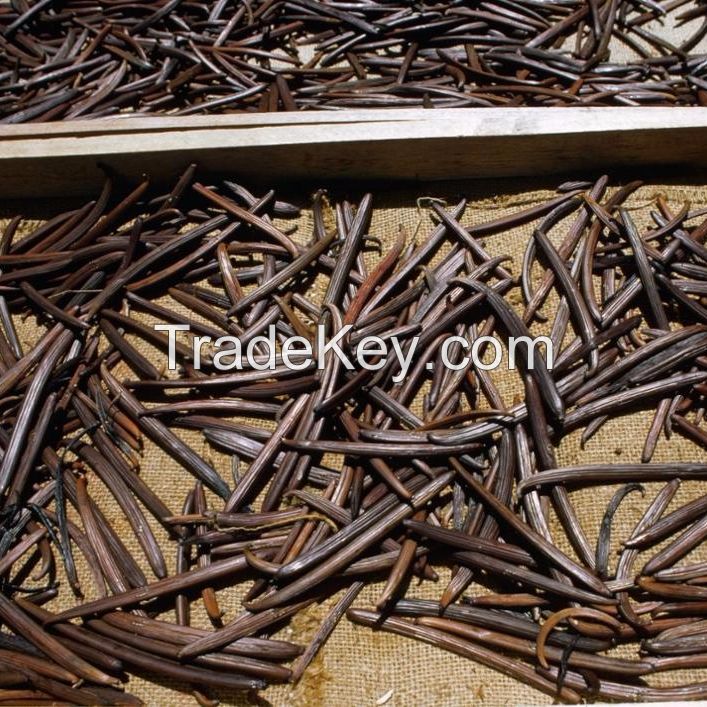  High Quality Vanilla Beans 