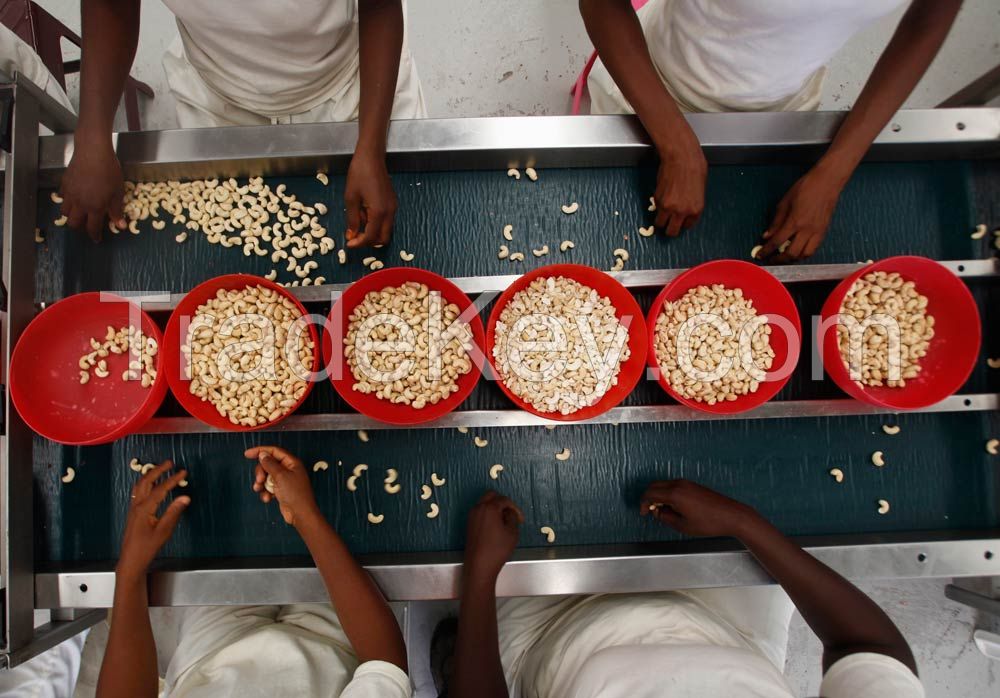 African Cashew Nuts 