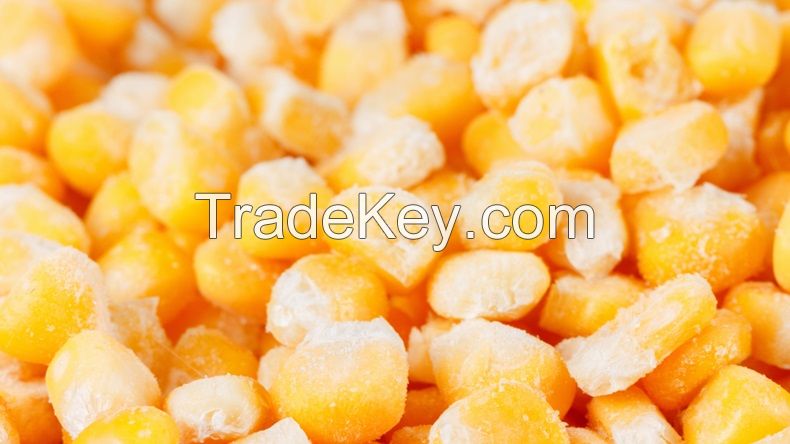 Frozen Sweet Yellow Corn Slice/Whole From Thailand 1kg per bag, 10 kg per carton 24 months shelf life