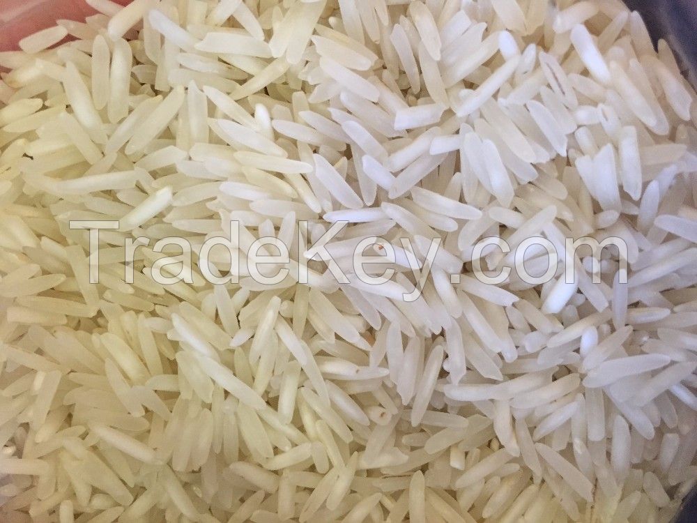 IRRI-9 DR-82 Rice