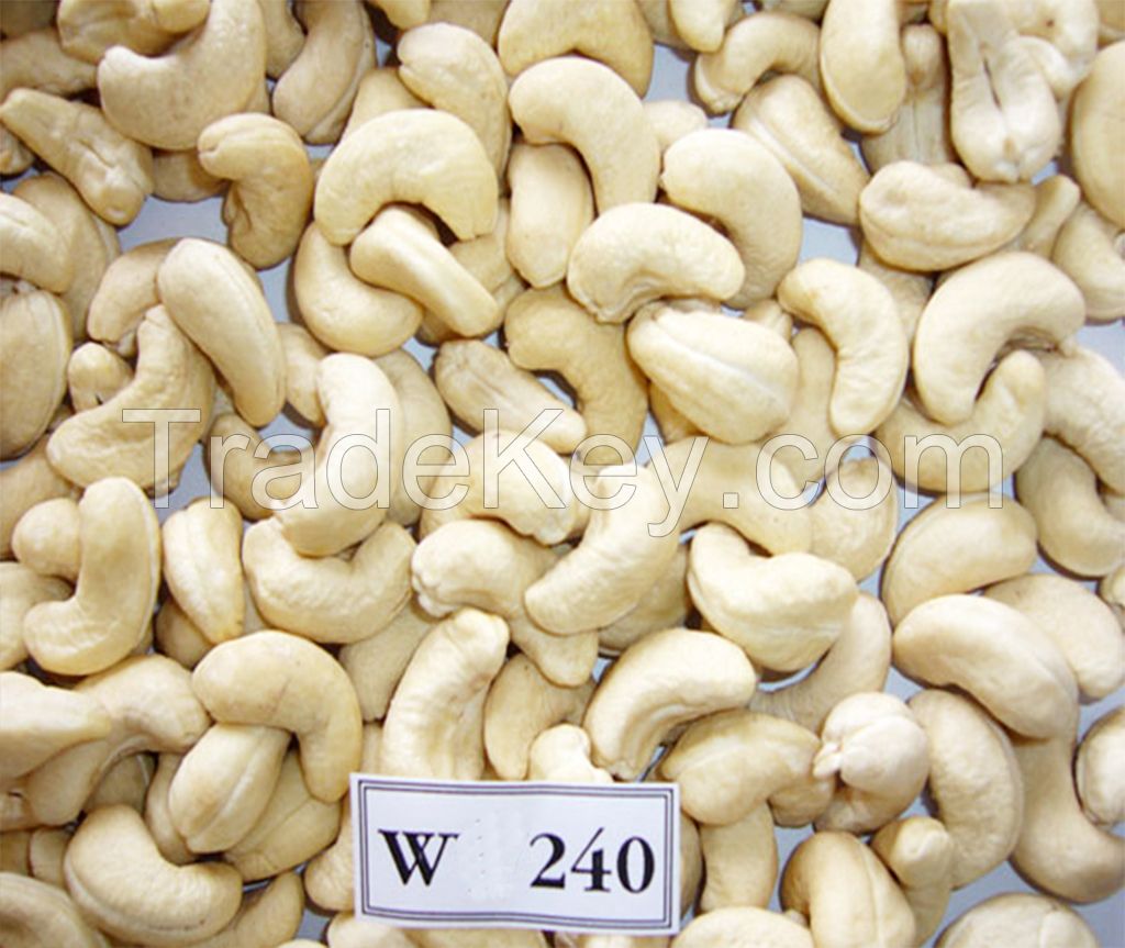 VIET NAM CASHEW NUTS WW 240