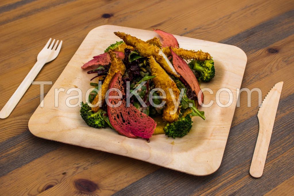 Disposable wooden tableware