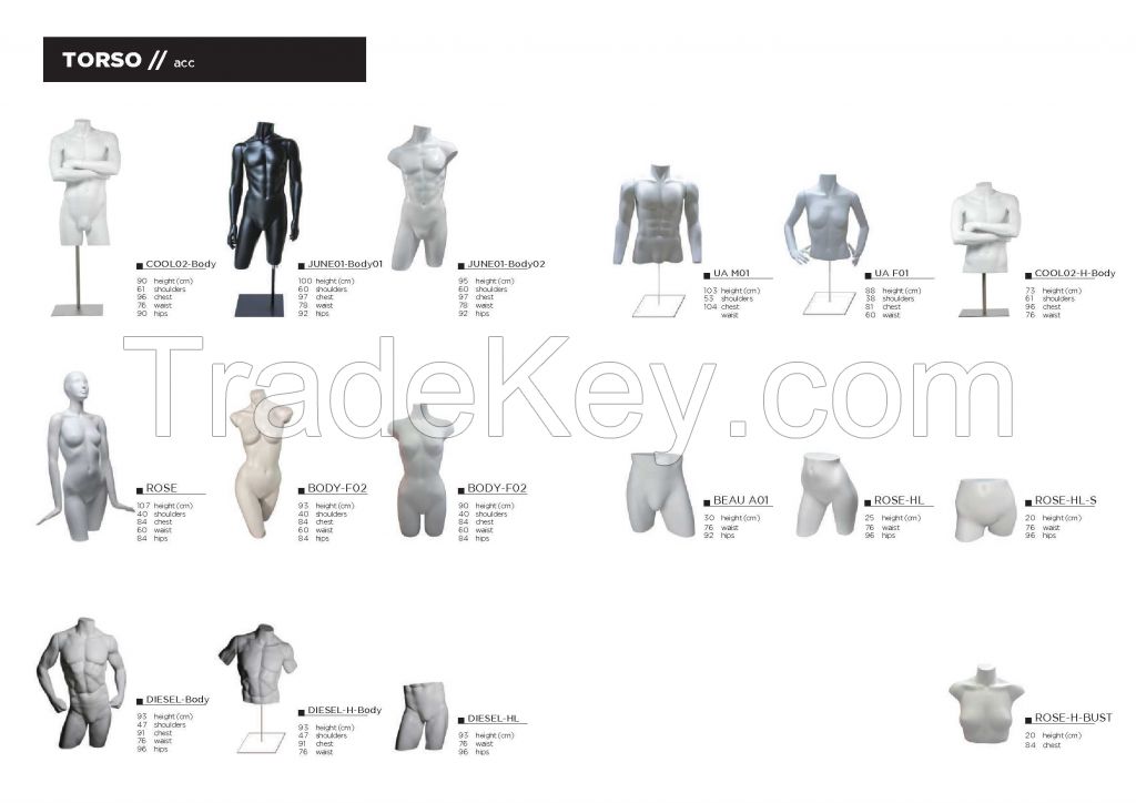 Torso Mannequin Collections